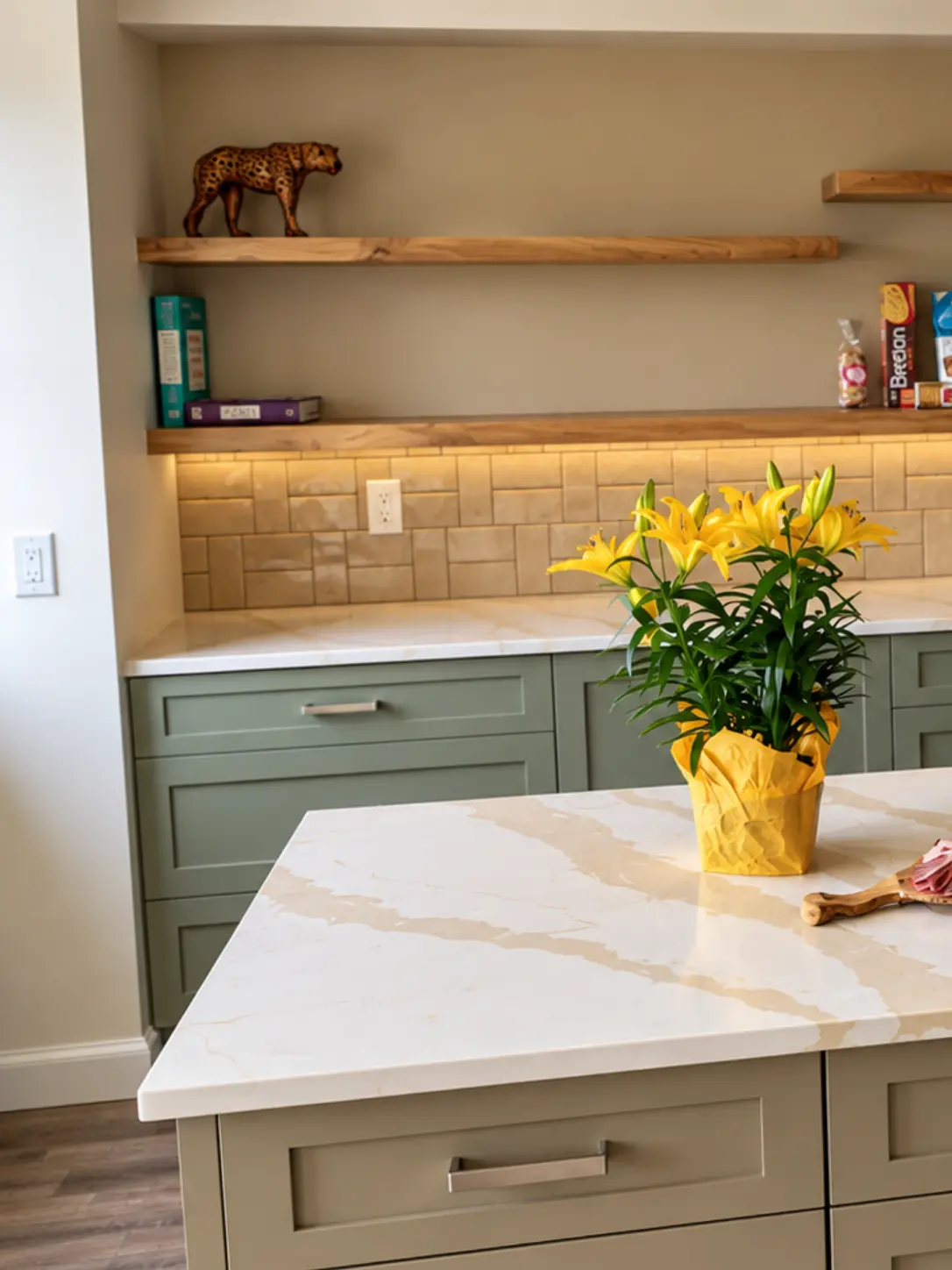 Pacific Living Contracting - Kitchen Renovation Coquitlam q1